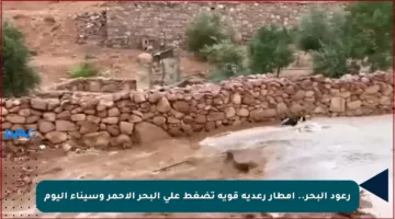 رعود البحر.. أمطار رعدية قوية تضغط على البحر الأحمر وسيناء اليوم